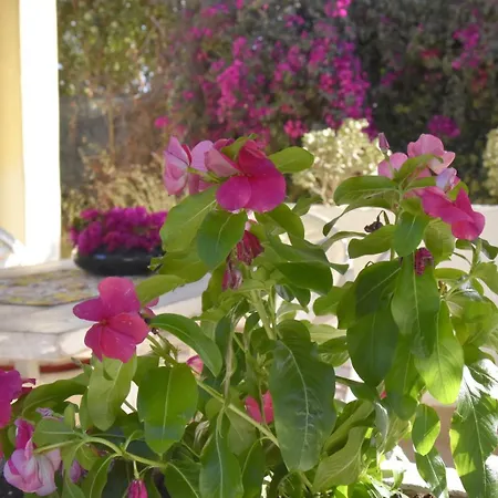Lm Home Casa Di Campagna A 2 Min A Piedi Dal Mare Augusta Exterior foto